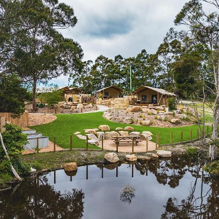 Glamping 148 Tasmania Hotel St Helens Ngoại thất bức ảnh