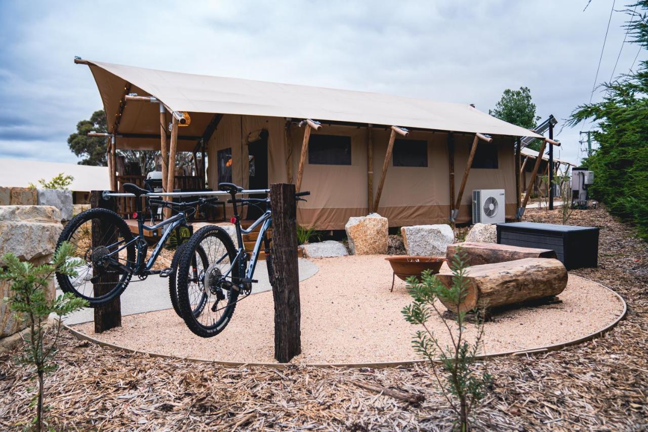 Glamping 148 Tasmania Hotel St Helens Ngoại thất bức ảnh